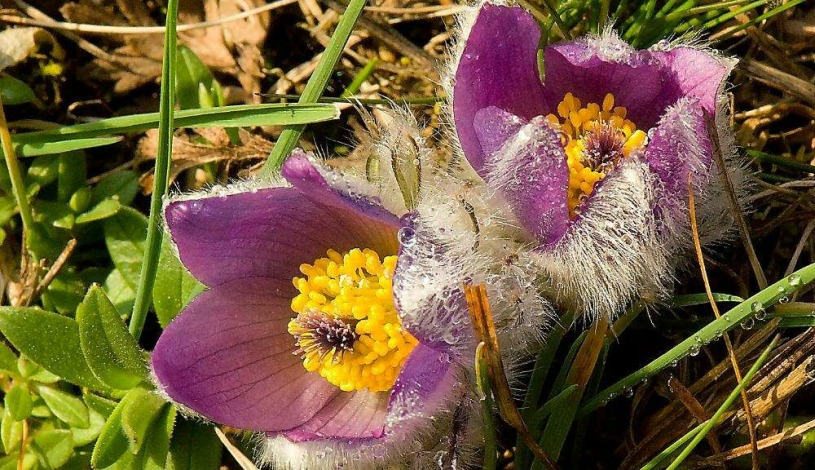 Penzion Havelka Železná Ruda